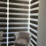 zebra-11