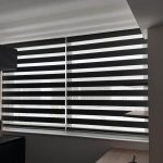 zebra-5